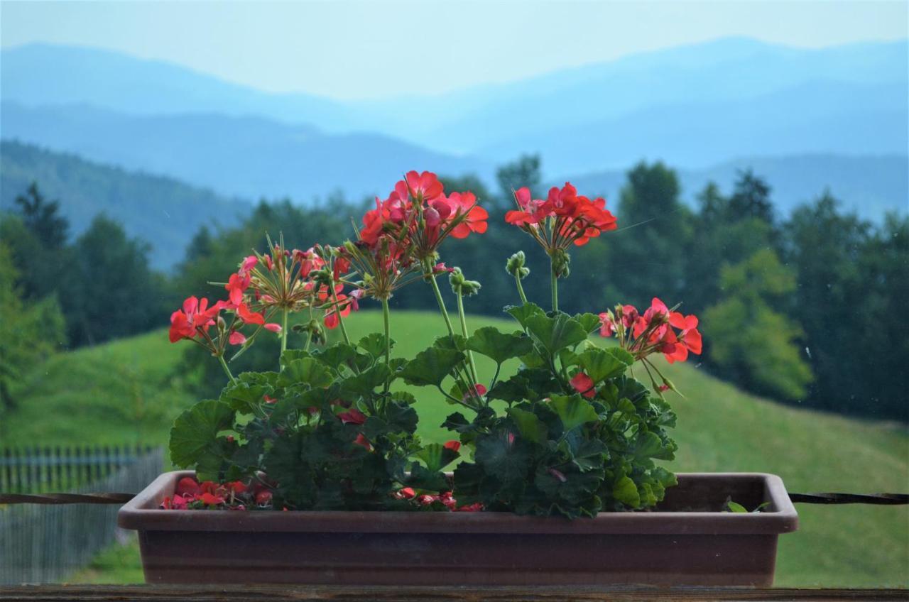 Healing Farm Apartamento Gorenja Vas  Exterior foto