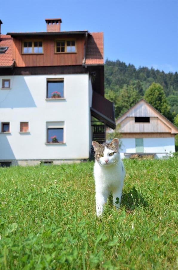 Healing Farm Apartamento Gorenja Vas  Exterior foto