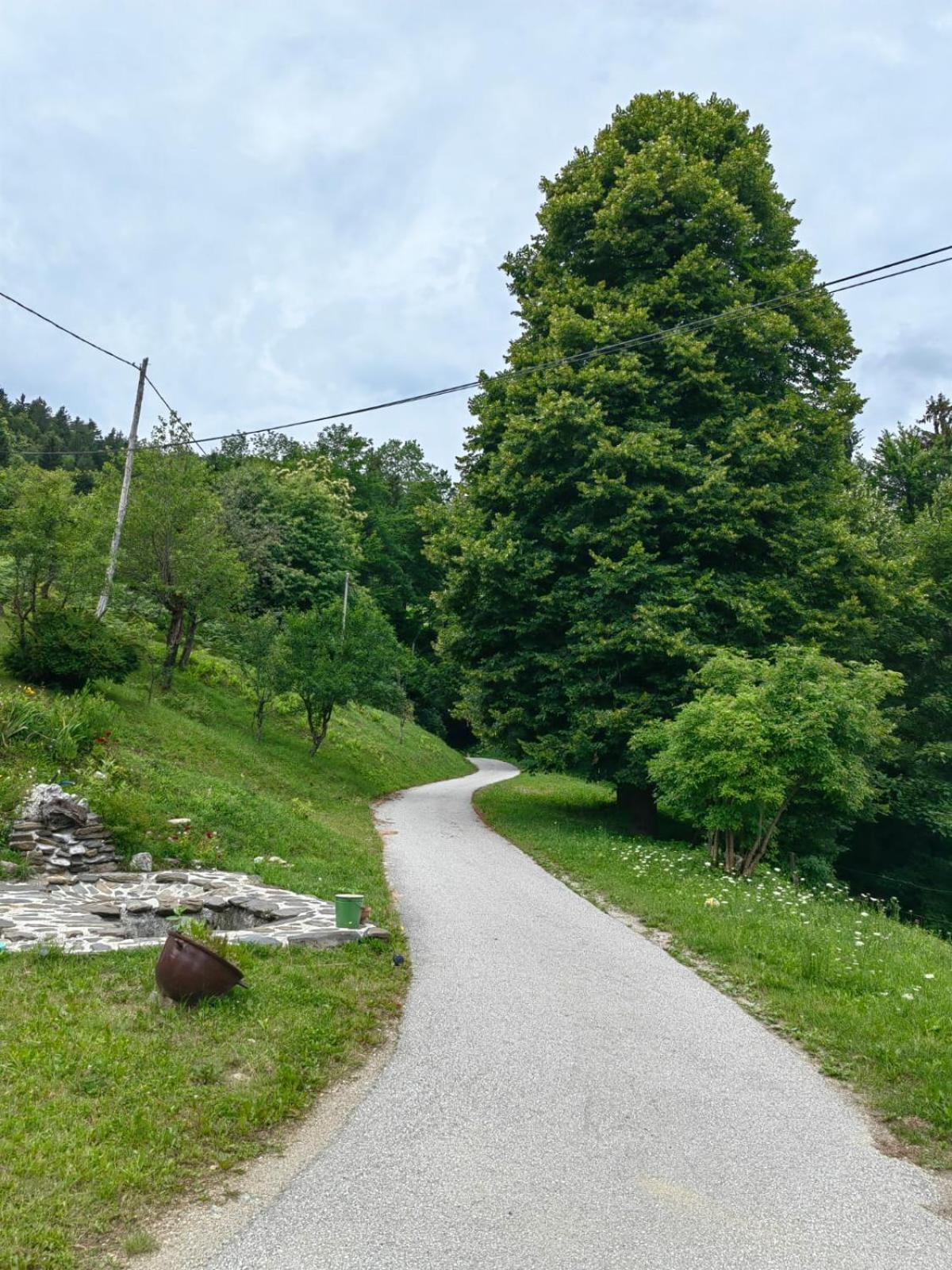 Healing Farm Apartamento Gorenja Vas  Exterior foto